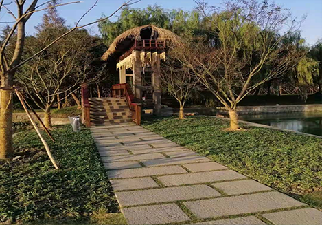 苏州市吴江区汾湖水系治理项目